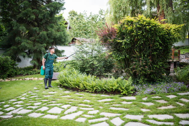 Best Best Pest Control Companies  in Kenova, WV