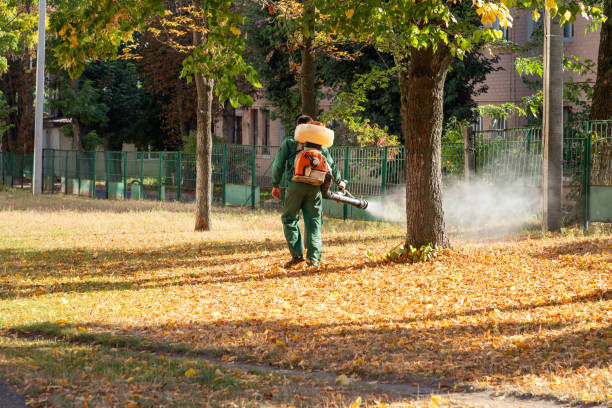 Best Residential Pest Control  in Kenova, WV